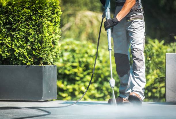 Best Fence Cleaning  in Lincoln, ID