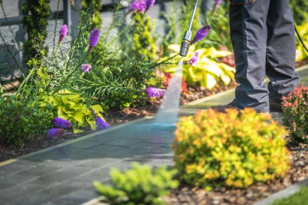Best Driveway Pressure Washing  in Lincoln, ID